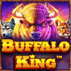 buffalo king megaways